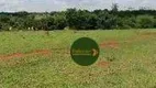 Foto 8 de Fazenda/Sítio com 2 Quartos à venda, 16770600m² em Rural, Paranã