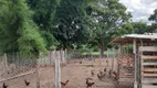 Foto 24 de Fazenda/Sítio com 4 Quartos à venda, 500m² em Brazlândia, Brasília