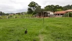 Foto 15 de Fazenda/Sítio com 3 Quartos à venda, 10600m² em Pinheiro, Presidente Getúlio