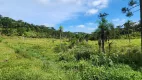 Foto 84 de Fazenda/Sítio com 5 Quartos à venda, 435600m² em Campo Alto, Tijucas do Sul