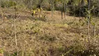 Foto 3 de Fazenda/Sítio à venda, 33m² em Zona Rural, Niquelândia