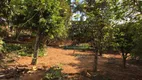 Foto 22 de Fazenda/Sítio com 3 Quartos à venda, 270m² em Barreiro Rural, Taubaté