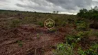 Foto 15 de Fazenda/Sítio com 2 Quartos à venda, 10000m² em , Magalhães de Almeida