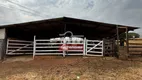 Foto 11 de Fazenda/Sítio à venda, 26m² em Zona Rural, Piracanjuba