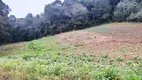 Foto 22 de Fazenda/Sítio à venda, 121000m² em Marmeleiro, Almirante Tamandaré