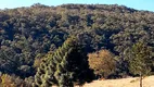 Foto 22 de Fazenda/Sítio à venda, 854000m² em Zona Rural, São José dos Campos