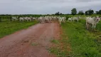 Foto 24 de Fazenda/Sítio à venda, 10m² em Zona Rural, Britânia