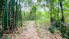 Foto 11 de Fazenda/Sítio com 2 Quartos à venda, 10000m² em , Bonfinópolis