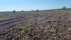 Foto 12 de Fazenda/Sítio à venda, 1m² em , Santa Rita do Tocantins