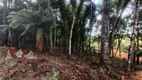 Foto 20 de Fazenda/Sítio com 1 Quarto à venda, 5000m² em Campestre da Faxina, São José dos Pinhais