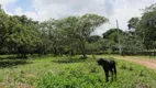 Foto 7 de Fazenda/Sítio à venda, 40000m² em Zona Rural, Trairi