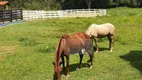 Foto 33 de Fazenda/Sítio com 3 Quartos à venda, 500m² em Zona Rural, Baependi