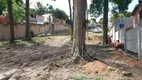 Foto 10 de Lote/Terreno à venda, 1m² em Pedra Redonda, Porto Alegre