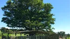 Foto 18 de Fazenda/Sítio com 3 Quartos à venda, 290400000m² em Cidade Jardim, Uberlândia