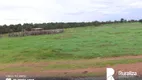 Foto 9 de Fazenda/Sítio à venda, 605m² em Zona Rural, Cristalândia