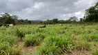 Foto 32 de Fazenda/Sítio com 2 Quartos à venda, 490000m² em Sao Gabriel de Goias, Planaltina