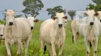 Foto 9 de Fazenda/Sítio à venda, 30000m² em Zona Rural, Marabá