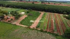 Foto 6 de Lote/Terreno à venda, 22800m² em Zona Rural, Bady Bassitt