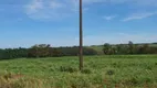 Foto 4 de Fazenda/Sítio à venda, 5000m² em Tupinamba, Astorga