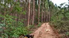 Foto 9 de Fazenda/Sítio com 3 Quartos à venda, 1100000m² em Centro, Biquinhas