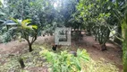 Foto 6 de Fazenda/Sítio com 3 Quartos à venda, 112m² em Serraria, São José