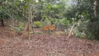 Foto 36 de Fazenda/Sítio com 4 Quartos à venda, 30000m² em Zona Rural, Santa Leopoldina