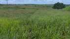 Foto 2 de Fazenda/Sítio com 2 Quartos à venda, 2000m² em , Monte Alegre