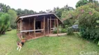 Foto 7 de Lote/Terreno à venda, 12550m² em , Palmeira