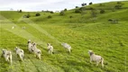 Foto 25 de Fazenda/Sítio à venda, 6000000m² em Centro, Água Preta