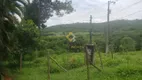 Foto 20 de Fazenda/Sítio com 4 Quartos para alugar, 300m² em Inacia de Carvalho, São José da Lapa