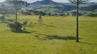 Foto 4 de Fazenda/Sítio à venda, 20000m² em Vacas Gordas, Urubici