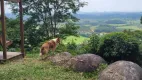 Foto 41 de Fazenda/Sítio com 3 Quartos à venda, 254m² em Escalvado, Navegantes