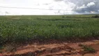 Foto 3 de Fazenda/Sítio com 4 Quartos à venda, 125m² em Zona Rural, Nova Xavantina