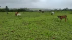 Foto 79 de Fazenda/Sítio com 4 Quartos à venda, 280000m² em Area Rural de Brazlandia, Brasília