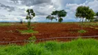 Foto 24 de Fazenda/Sítio à venda, 3300m² em Zona Rural, Aragoiânia