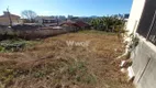 Foto 9 de Lote/Terreno à venda, 342m² em Jardim Atlântico, Florianópolis