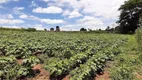 Foto 9 de Fazenda/Sítio com 4 Quartos à venda, 11711m² em Reforma Agraria, Valinhos
