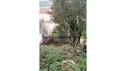 Foto 9 de Lote/Terreno à venda, 560m² em Jardim Quisisana, Poços de Caldas
