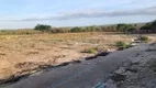 Foto 22 de Fazenda/Sítio com 7 Quartos à venda, 400m² em  Zona Rural, Teresina