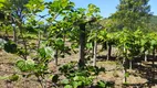 Foto 32 de Fazenda/Sítio com 4 Quartos à venda, 250m² em Bateias, Campo Largo