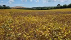 Foto 2 de Lote/Terreno à venda, 77000m² em Iguaçu, Fazenda Rio Grande