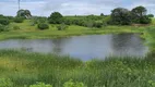 Foto 10 de Fazenda/Sítio com 3 Quartos à venda, 30000m² em Monte Alegre, Monte Alegre