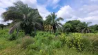 Foto 8 de Fazenda/Sítio com 5 Quartos à venda, 2060000m² em Area Rural de Rondonopolis, Rondonópolis