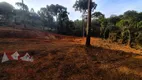 Foto 5 de Fazenda/Sítio com 1 Quarto à venda, 5000m² em Campestre da Faxina, São José dos Pinhais