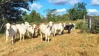 Foto 2 de Fazenda/Sítio com 2 Quartos à venda, 320000m² em Regiao dos Lagos, Brasília