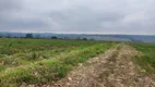 Foto 7 de Fazenda/Sítio à venda, 86000m² em Chacaras Benvenuto IV, Artur Nogueira