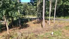 Foto 5 de Lote/Terreno à venda, 558m² em Dutra, Gramado