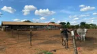 Foto 43 de Fazenda/Sítio com 3 Quartos à venda, 24000m² em Area Rural de Artur Nogueira, Artur Nogueira