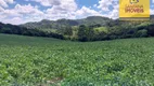 Foto 17 de Fazenda/Sítio à venda, 121000m² em Bateias, Campo Largo