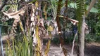 Foto 15 de Fazenda/Sítio com 3 Quartos à venda, 3028m² em Cidade Jardim, Esmeraldas